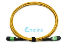 Patch Cable de fibra óptica MPO, PatchCord de fibra óptica monomodo 12 Fibras